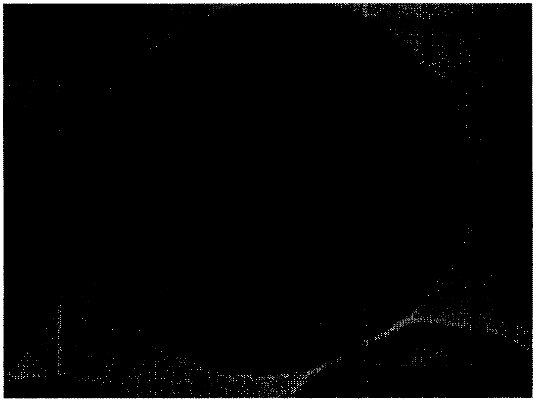 Infrared high shield core-shell structure opacifying agent for SiO2 aerogel and preparation method of opacifying agent