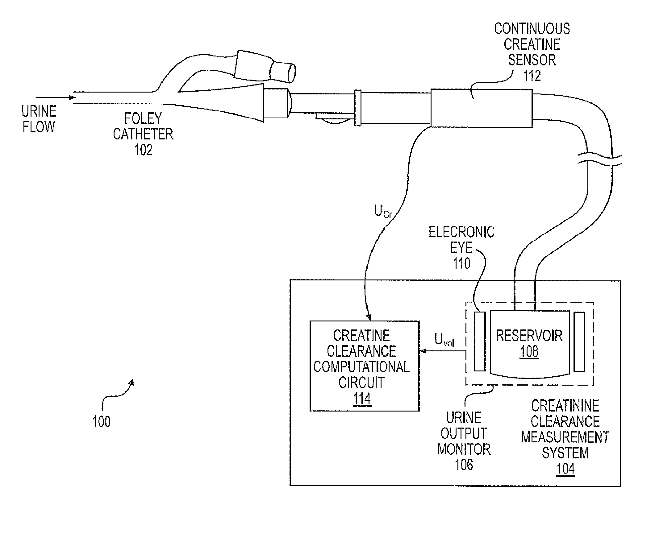 Renal monitor