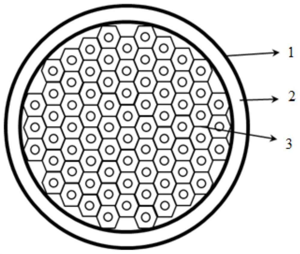 Method and system for producing high-activity-ratio Sr-89 and Sr-90 through liquid molten salt reactor