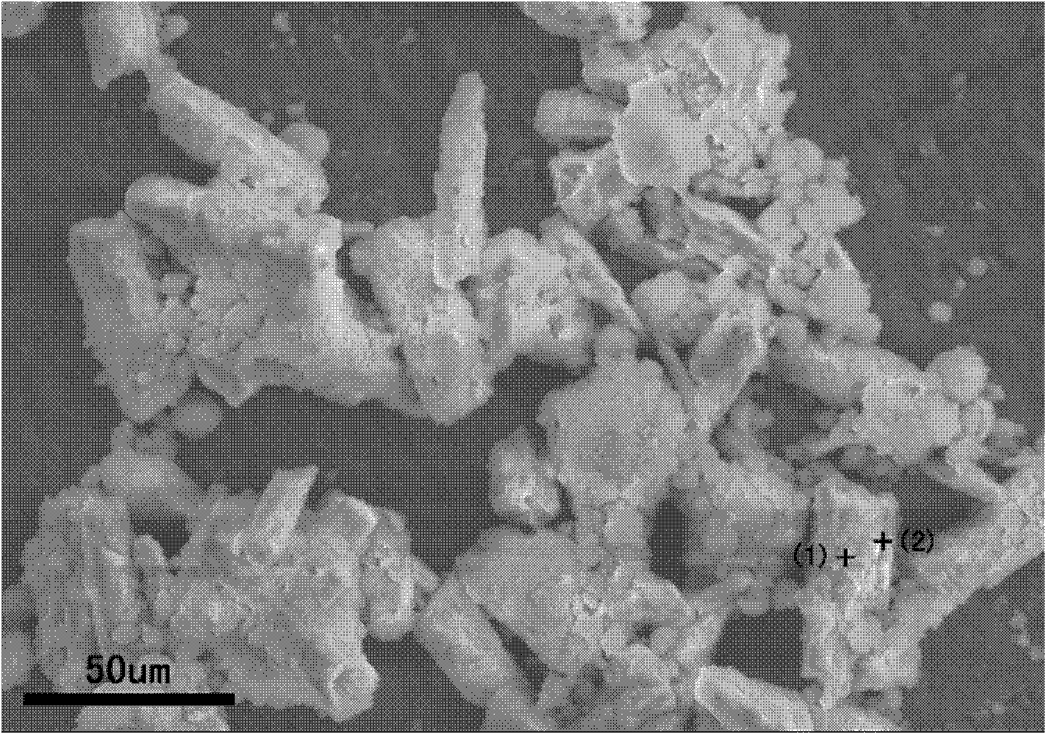 Alpha-calcium sulfate hemihydrate/hydroxyapatite composite granule with nuclear shell structure and preparation thereof