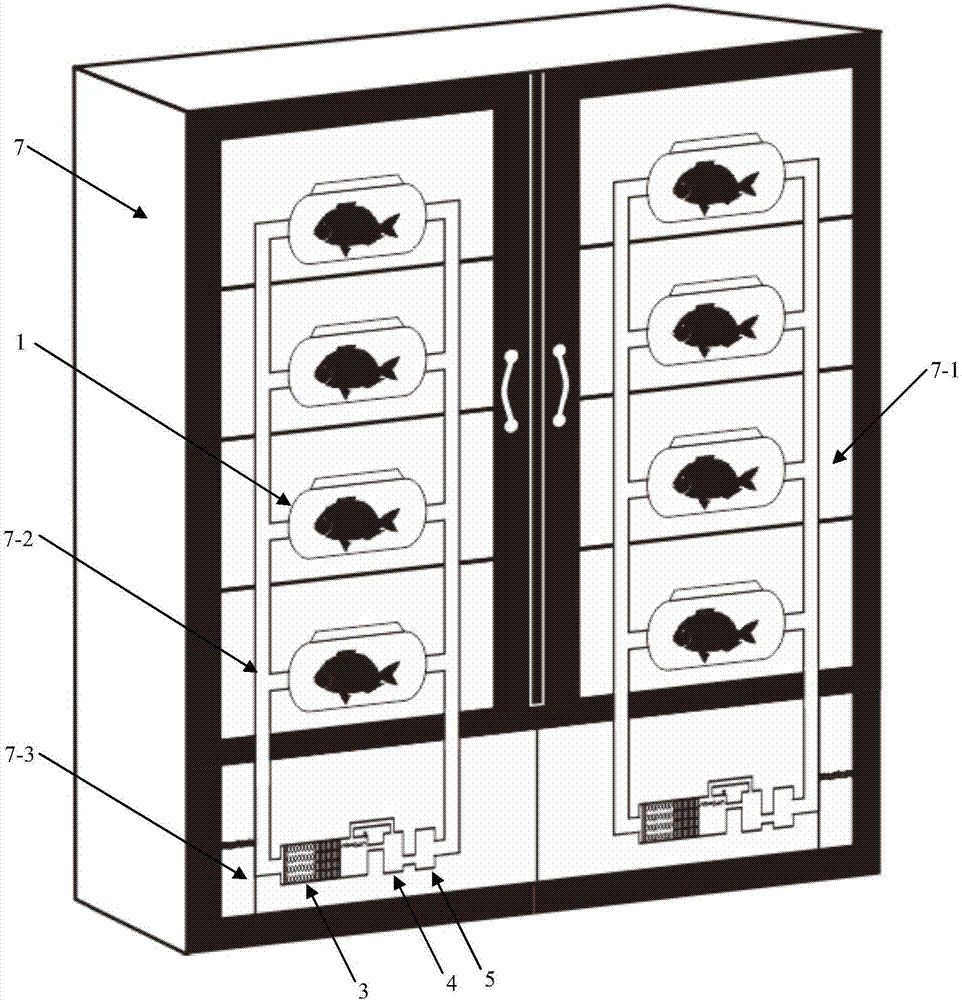 Self-circulating system for alive aquatic life artificial environment