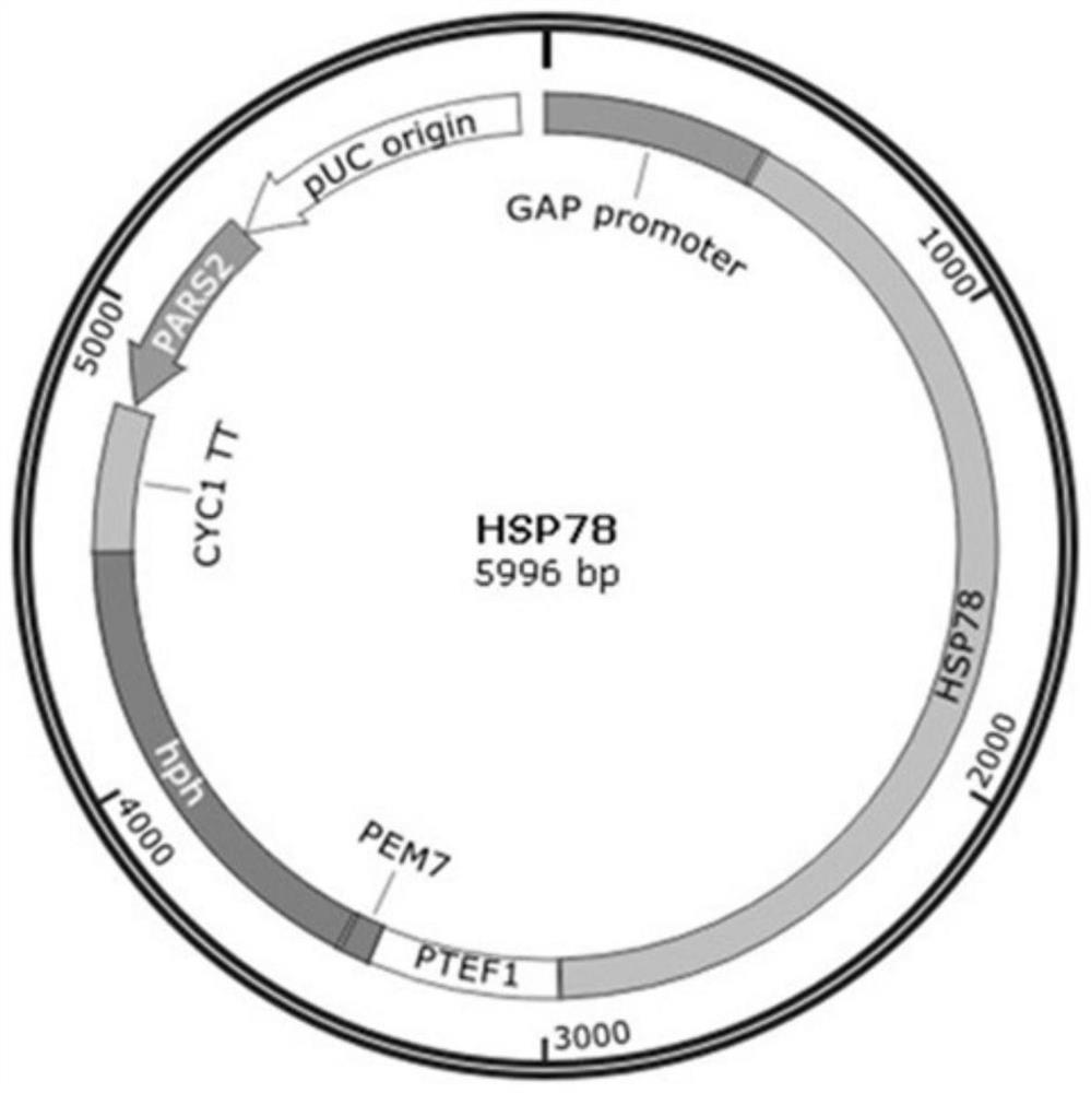 Method for increasing yield of pichia pastoris foreign protein