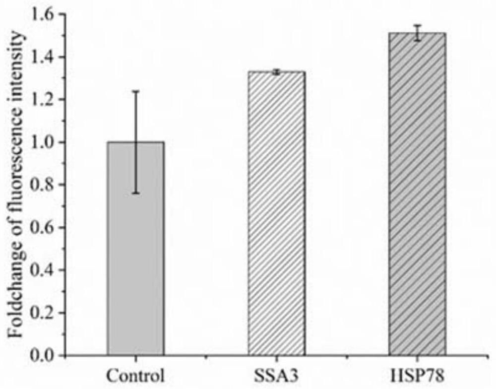 Method for increasing yield of pichia pastoris foreign protein