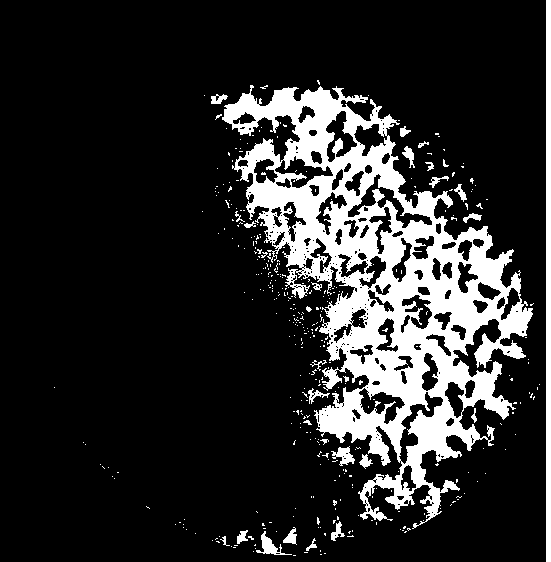 Aquatic product feed and preparation and use method thereof