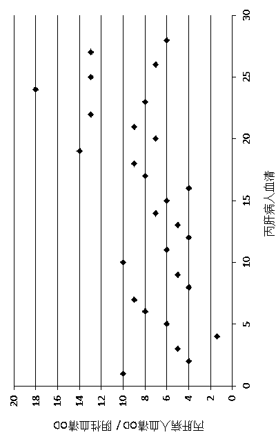 Expression vector PVX-6His-CTBt-Bt for producing multi-epitope vaccine of hepatitis c virus