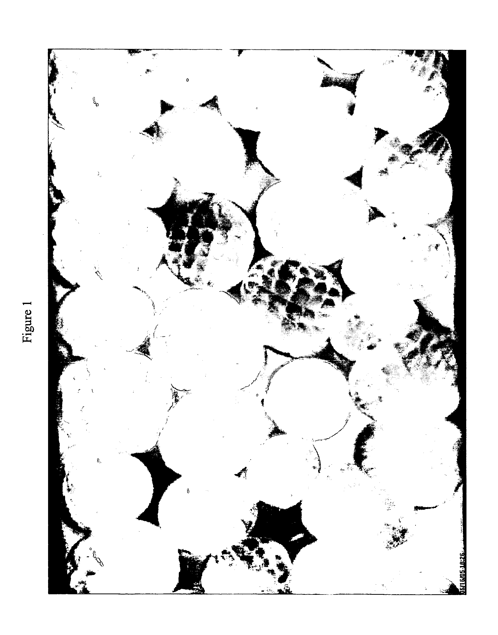 Elastomeric fibers comprising controlled distribution block copolymers