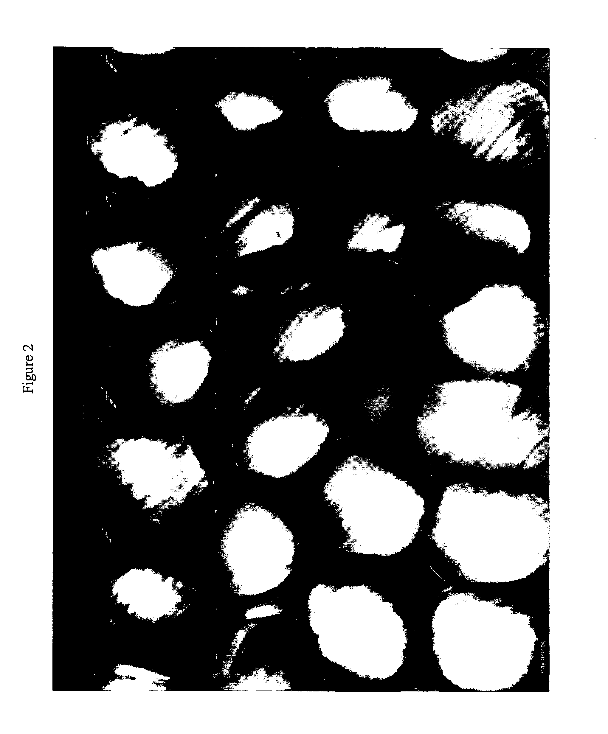 Elastomeric fibers comprising controlled distribution block copolymers