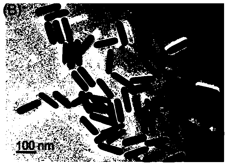 Method for detecting galectin-1 in blood and reagent used