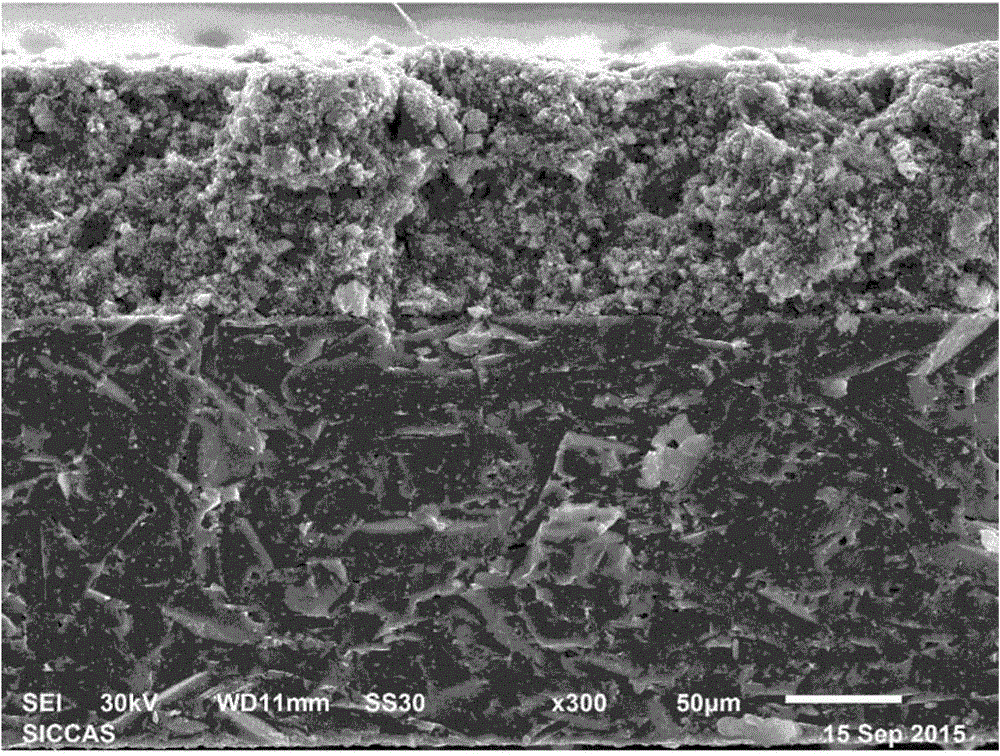 Composite sodium-storage positive electrode for solid-state secondary sodium battery and preparation method for composite sodium-storage positive electrode