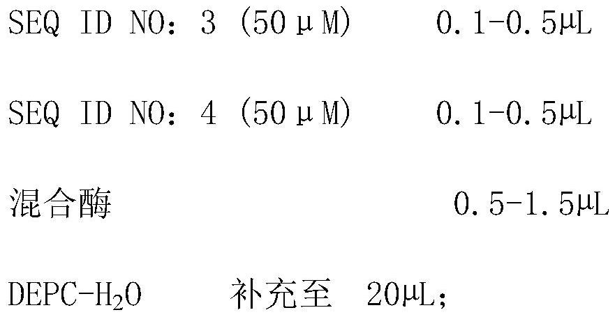 SARS-CoV-2 D614G mutation detection kit and SARS-CoV-2 D614G mutation detection method