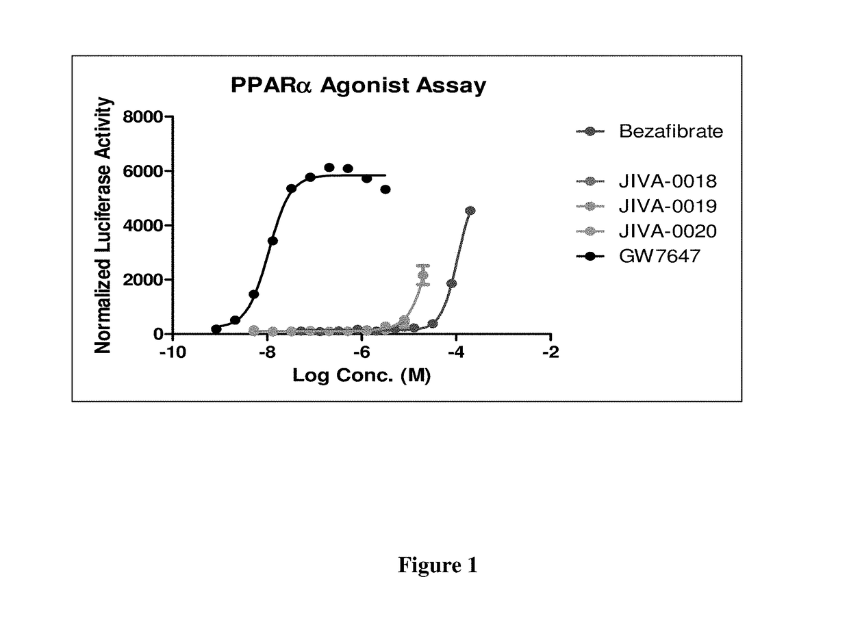 Omefibrates for Treating Dyslipidemia and Cardiovascular Disease