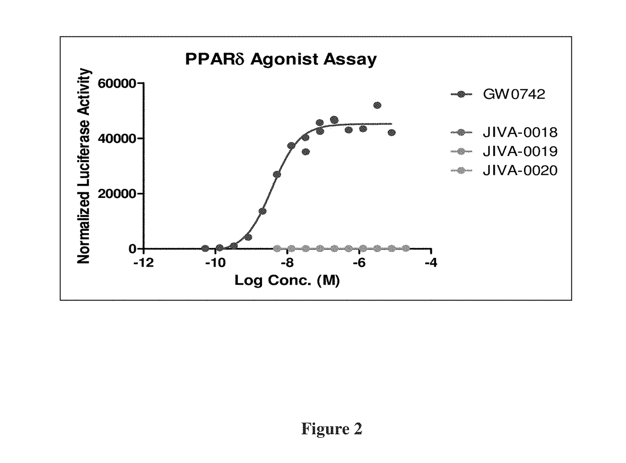 Omefibrates for Treating Dyslipidemia and Cardiovascular Disease