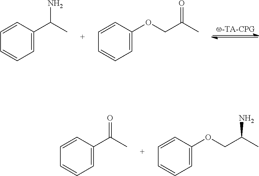 Immobilized proteins and use thereof