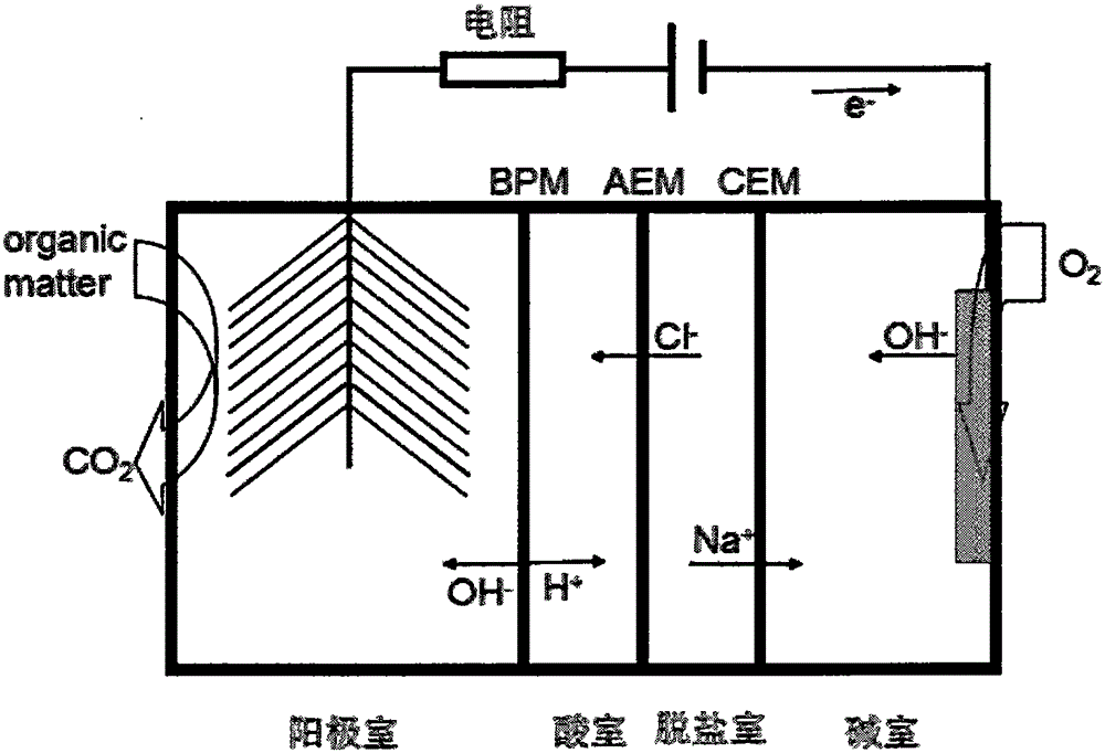 Enhancing method for producing malic acid through biological electrodialysis