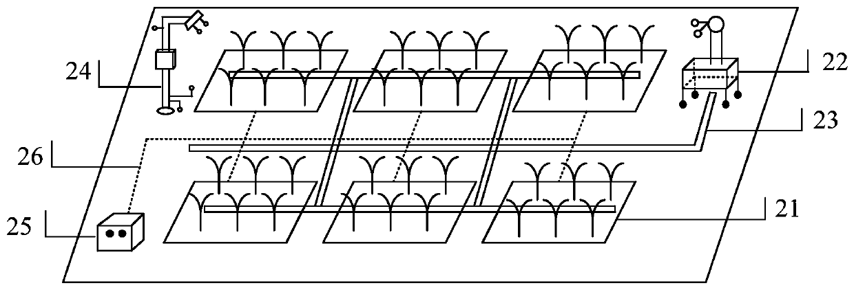 Live cloud platform of plant growth