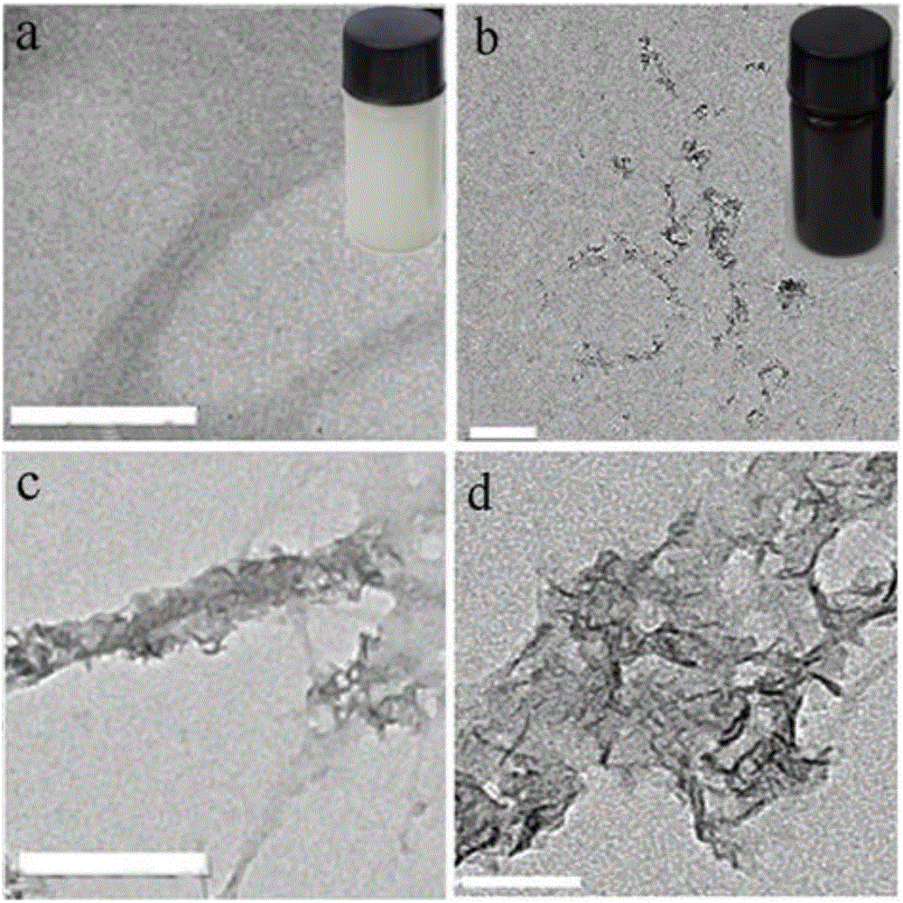 Preparation method of manganese dioxide cellulose nanofiber mixed compound