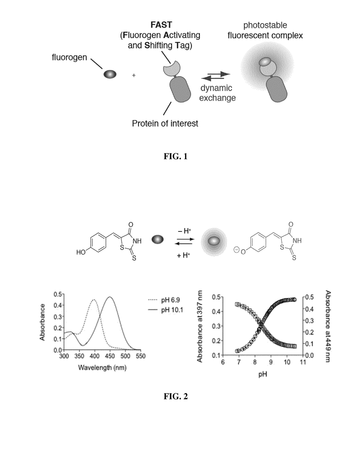 Fluorogen activating and shifting tag (FAST)