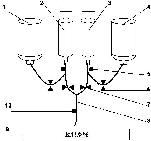 Automatic filled injection pump system