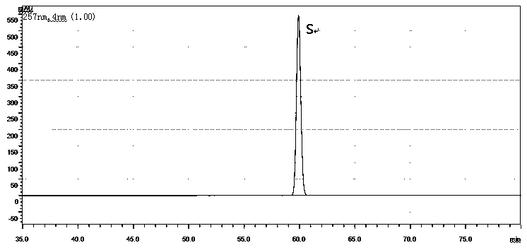 Method for extracting and separating ganoderma triterpene extract by using subcritical technology