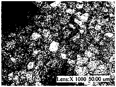 Showing and quantitative evaluation methods of gamma' phase in nickel-based superalloy