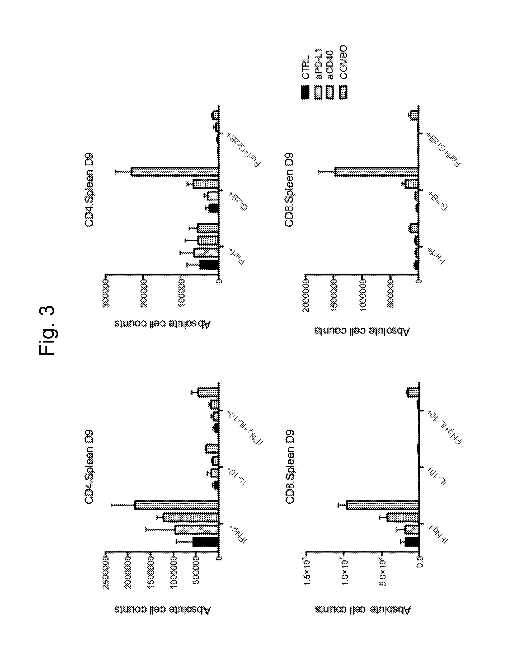 Combination therapy of antibodies activating human cd40 and antibodies against human pd-l1