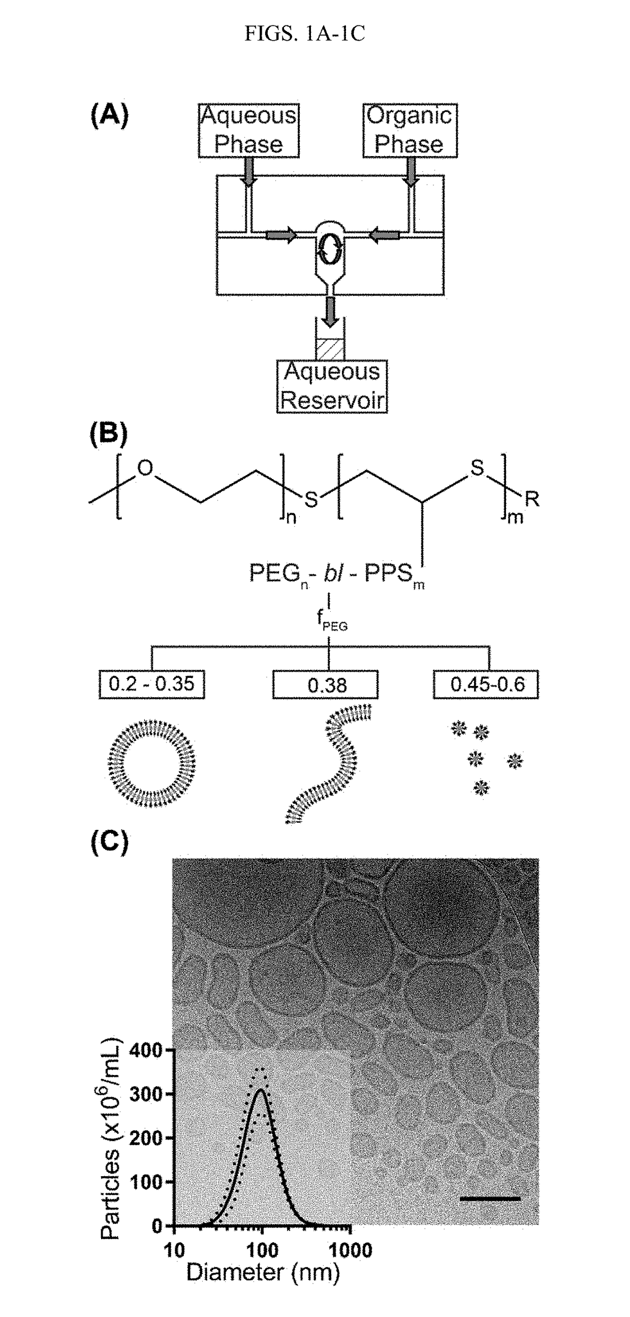 Facile Assembly of Soft Nanoarchitectures and Co-Loading of Hydrophilic and Hydrophobic Molecules via Flash Nanoprecipitation