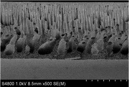 Preparation method for surface ionization modified polysulfone ultrafiltration membrane