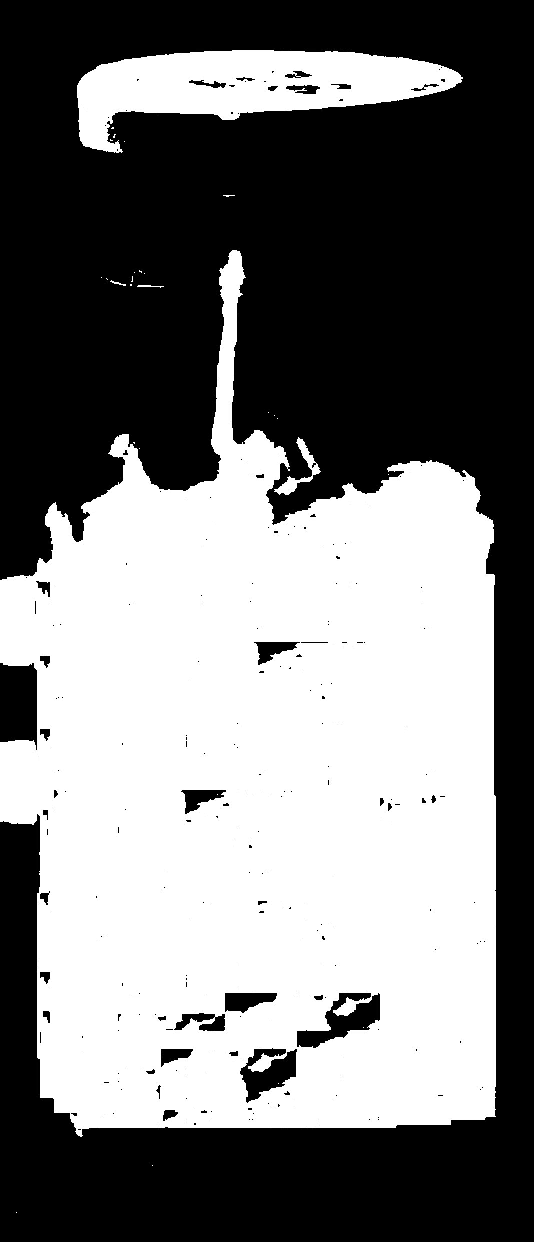 Tremella bird nest composite suspension beverage and preparation method thereof