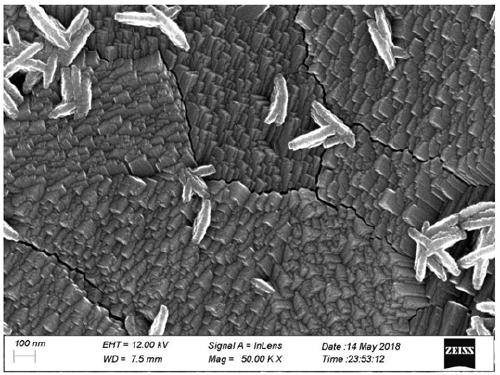 Titanium dioxide film gas sensor with niobium-doped anatase phase and manufacturing method for same