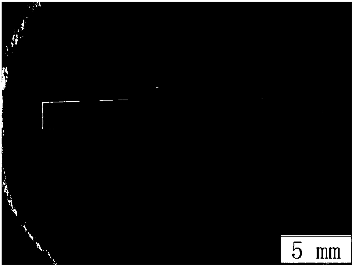 Titanium/steel dissimilar metal plasma shunt melting electrode arc brazing device and method based on pulse coordination control