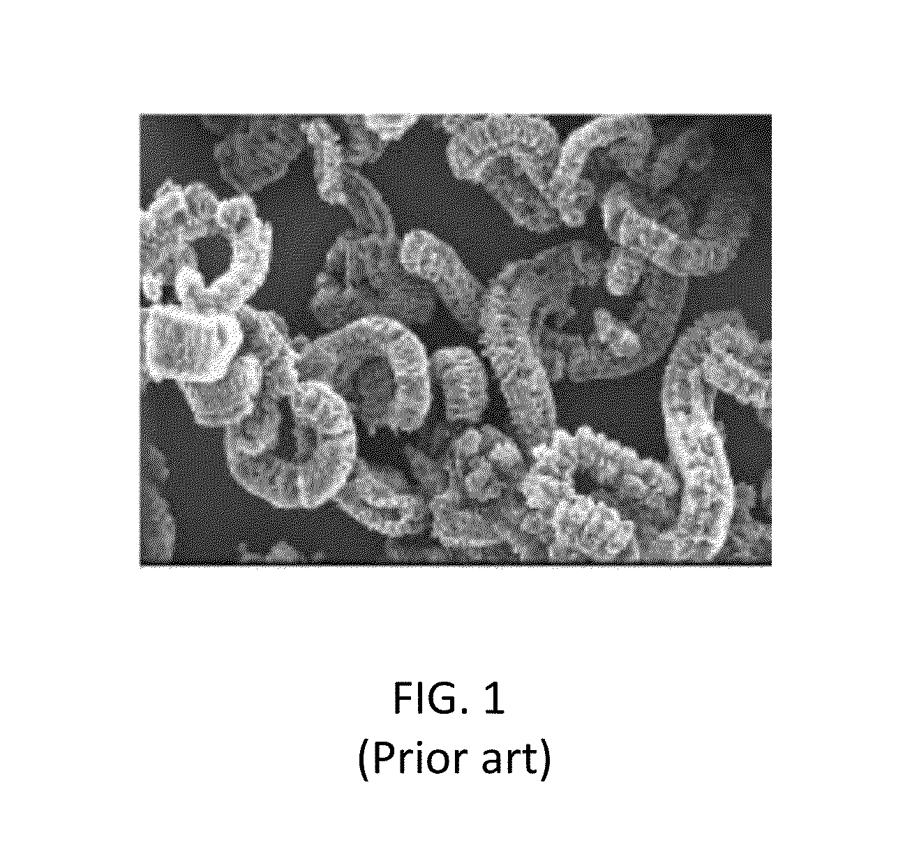 Apparatus and Methods for Processing Exfoliated Graphite Materials