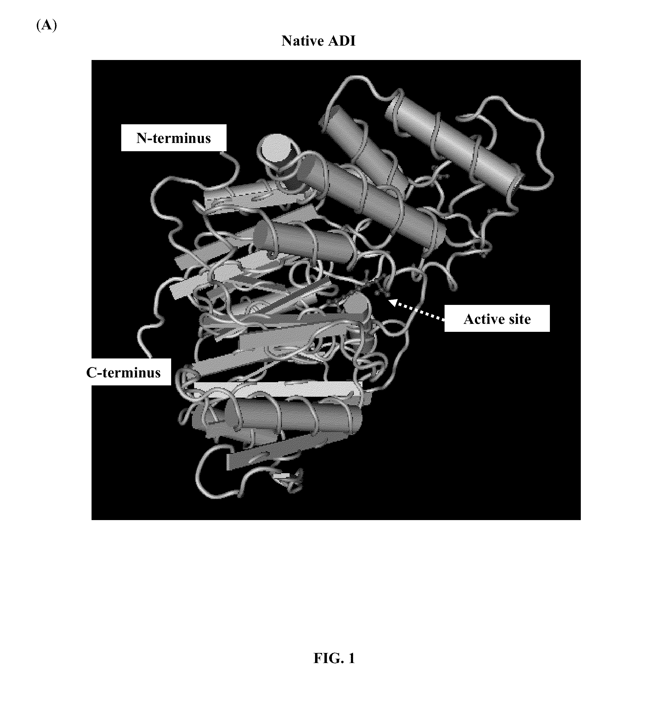 Pharmaceutical composition comprising albumin-binding arginine deiminase for cancer targeting treatment