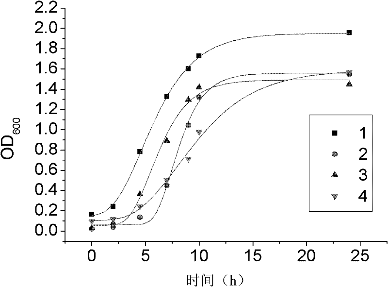 Starter and preparation method and use thereof