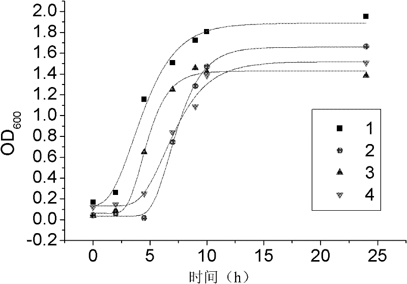 Starter and preparation method and use thereof