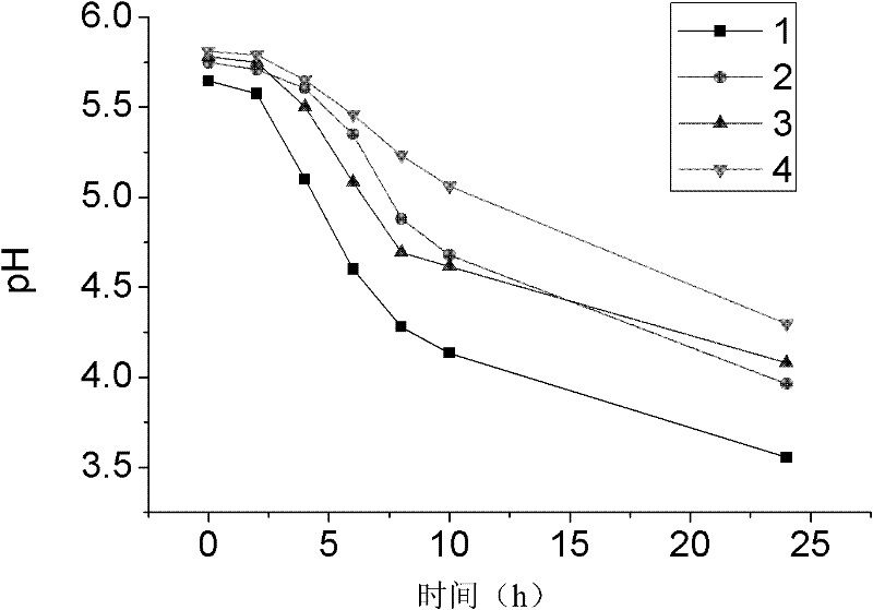 Starter and preparation method and use thereof