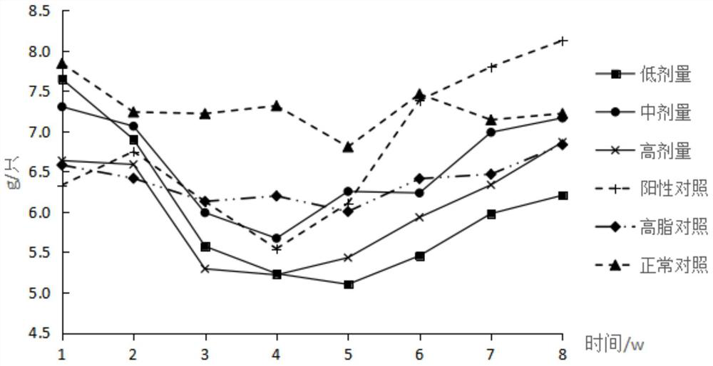 Application of copperleaf herb aqueous extract in preparation of weight-losing and lipid-lowering medicines or weight-losing and lipid-lowering health-care products