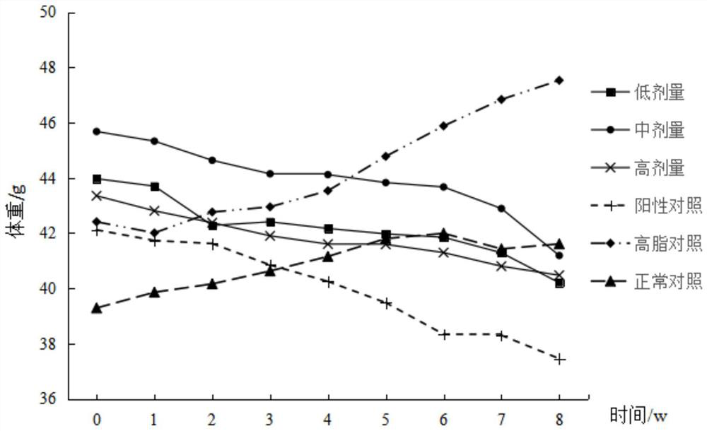 Application of copperleaf herb aqueous extract in preparation of weight-losing and lipid-lowering medicines or weight-losing and lipid-lowering health-care products