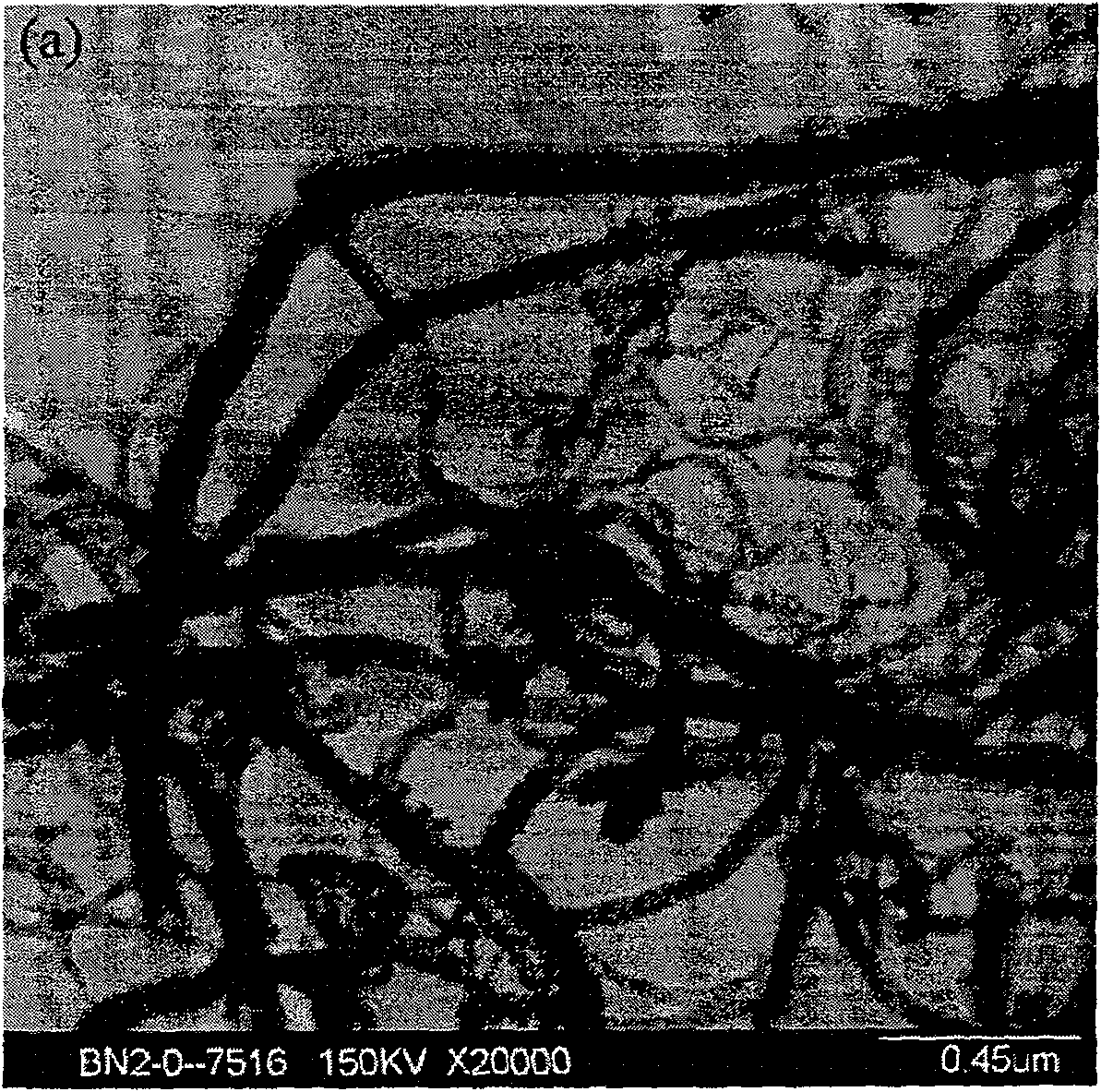 Method for preparing boron nitride coating carbon nano-tube/nano-wire and boron nitride nano-tube