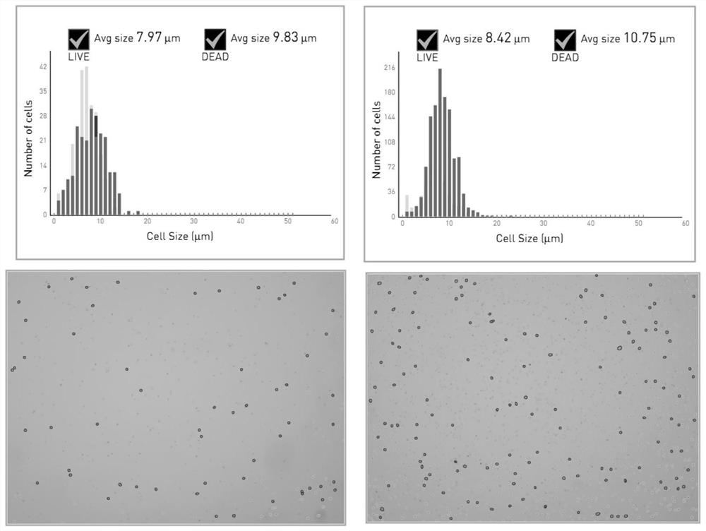 Exosome sorting method for NK cell activation stage