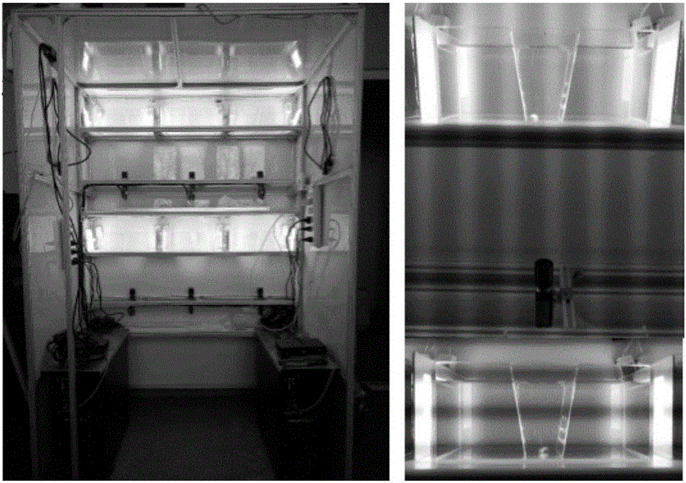 Water quality monitoring method based on computer vision monitoring of vital signs of fins