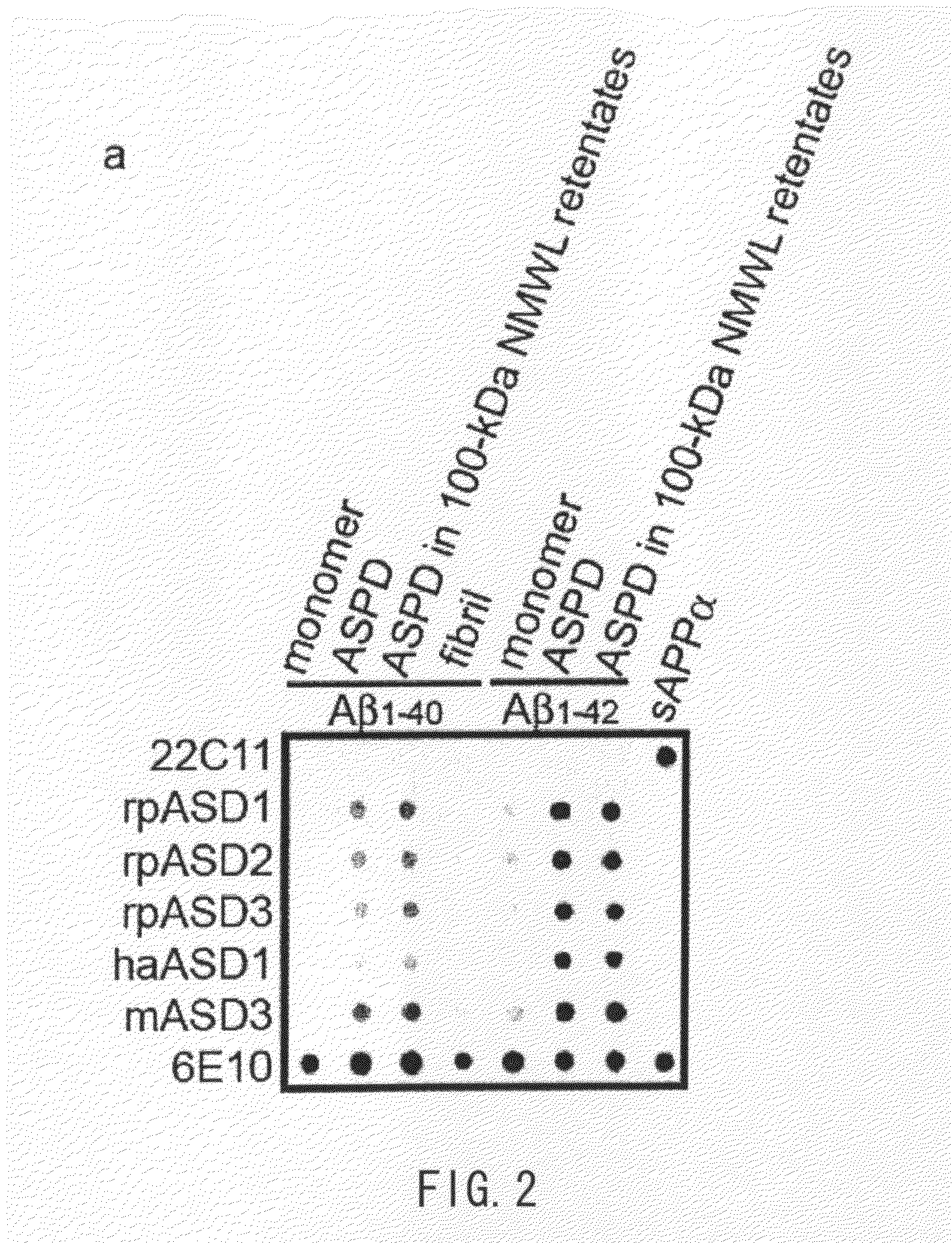 Antibody and use thereof