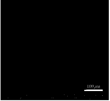 Iron-based alloy magnetic powder core adopting core-shell heterostructure and preparation method thereof