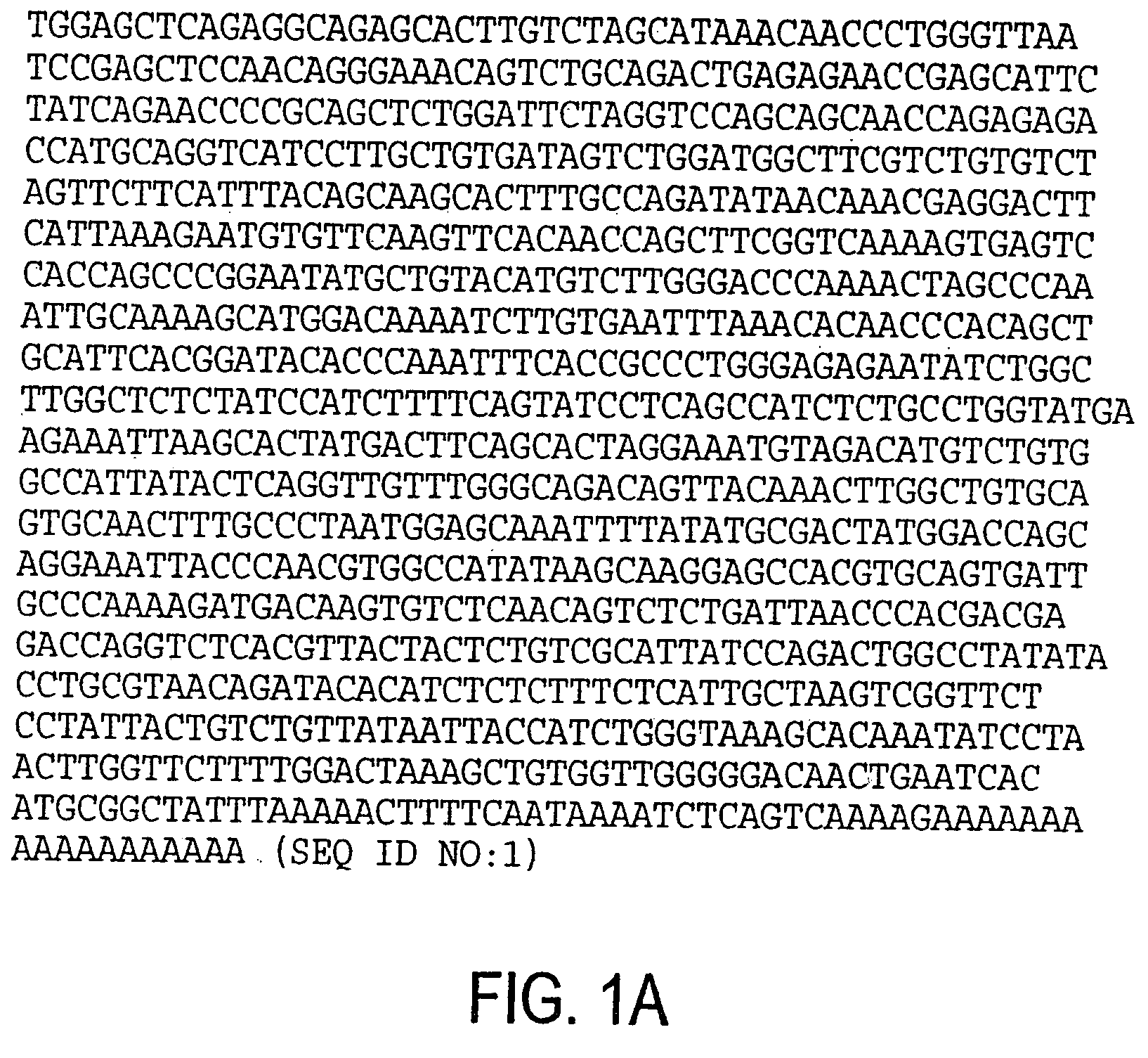 RTVP based compositions and methods for the treatment of prostate cancer