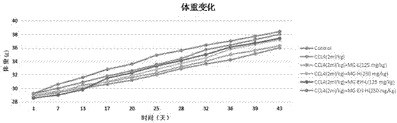 Application of enzymatic hydrolysates of total glycosides of grosvenor momordica fruit to anti-hepatic fibrosis drugs