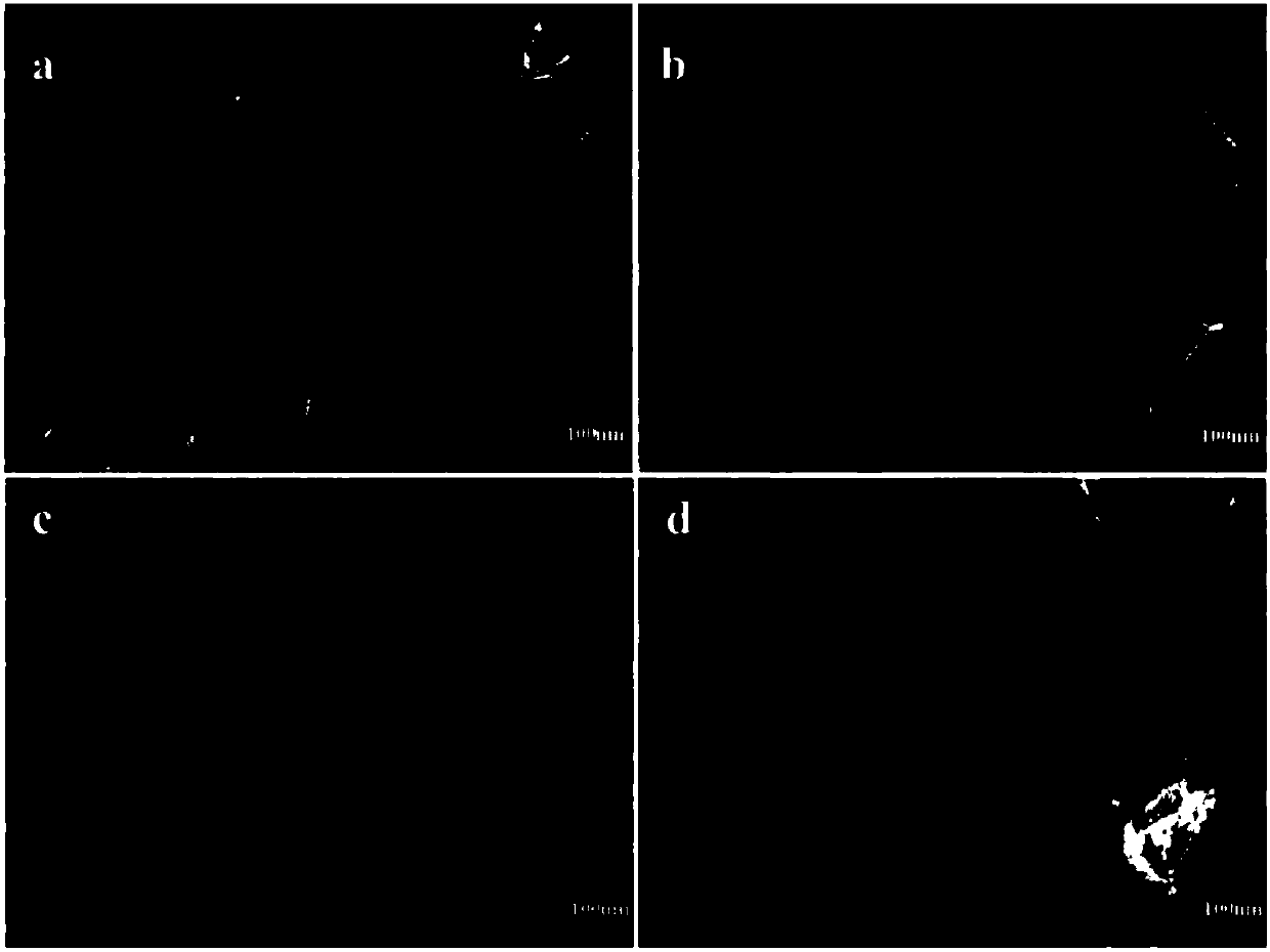 Preparation method and application of high-performance molybdenum disulfide/oxidized graphene/ferric oxide yellow composite catalyst