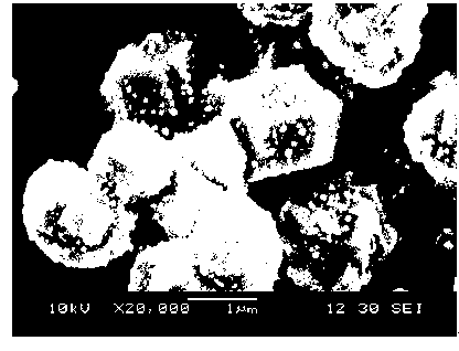 Method for preparing Ag/Ag3PO4 composite photo-catalyst