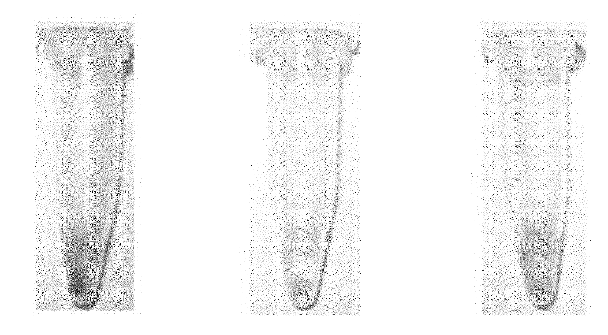 Color-developing method for rapid detection of residual organophosphorus and N-methyl carbamate pesticides