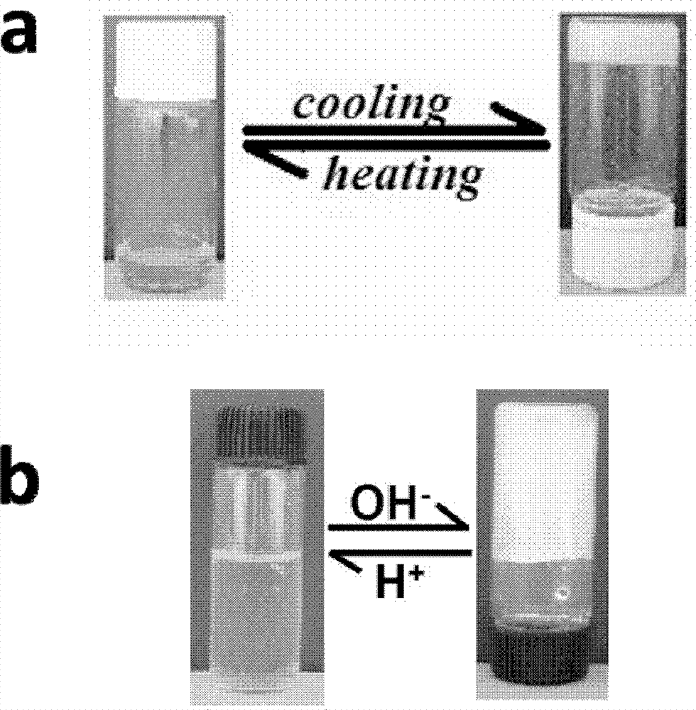 Nanogel scaffold material for culturing and desorbing type of cells and preparation method thereof