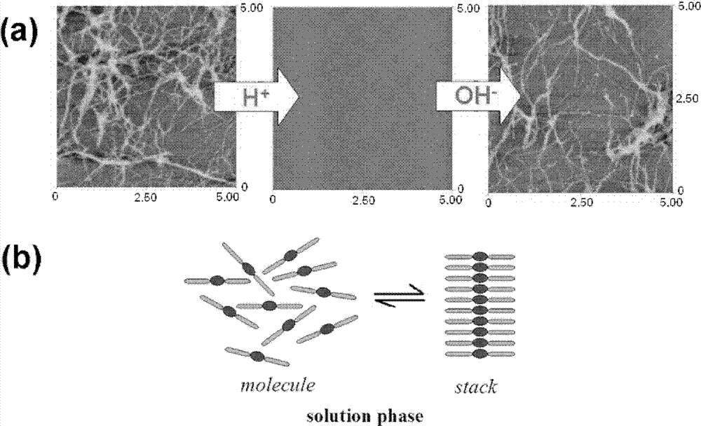 Nanogel scaffold material for culturing and desorbing type of cells and preparation method thereof