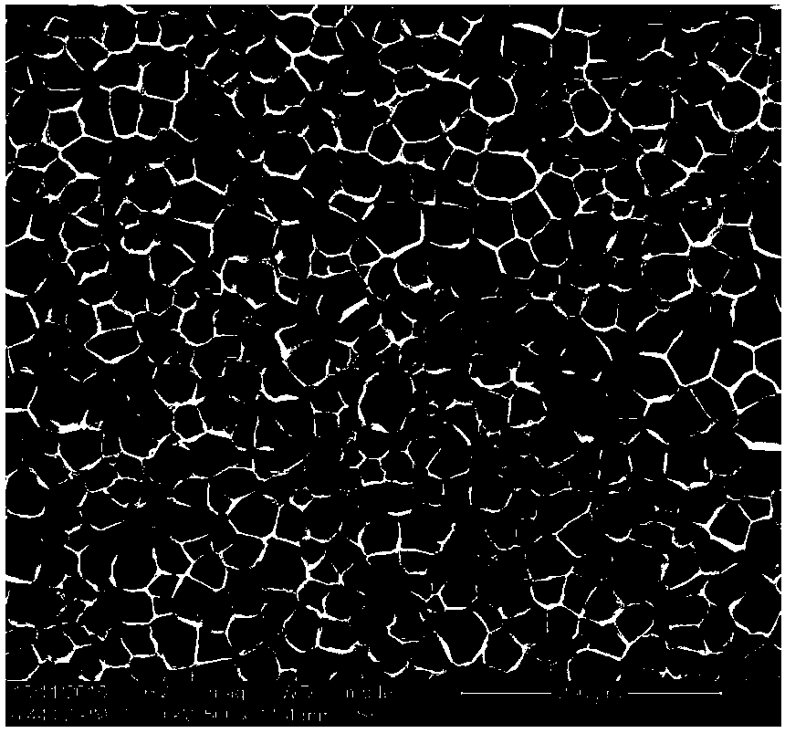 Thermoplastic polyurethane foaming particle and preparation method thereof